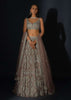 Taupe Grey Lehenga Choli In Net Elaborately Hand Embellished With Cut Dana Work In Geometric Pattern