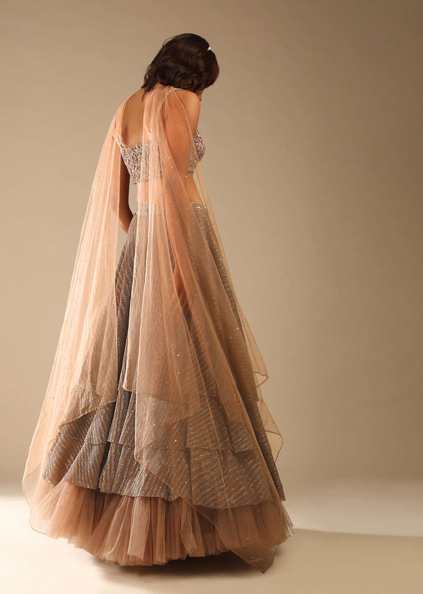 Taupe Layered Sequins Lehenga With Net Frill On The Hem And Cut Dana Embroidered Choli And Choker Dupatta