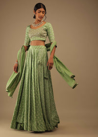 Tendril Green Lehenga With Choli Set In Digital Bandhani Print, Choli Comes In Zari And Sequins Embroidery Buttis