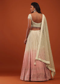 Terra Cotta Pink Ombre Lehenga In Georgette With Embroidery