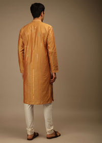 Topaz Kurta Set In Silk With Resham And Sequins Abla Embroidered Striped Design