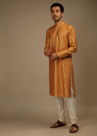 Topaz Kurta Set In Silk With Resham And Sequins Abla Embroidered Striped Design