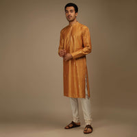 Topaz Kurta Set In Silk With Resham And Sequins Abla Embroidered Striped Design