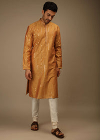 Topaz Kurta Set In Silk With Resham And Sequins Abla Embroidered Striped Design