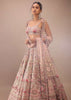 Charm Pink Rumi Lehenga Set With Matching Crop Top In 3D Flower Motifs And Abla Embroidery