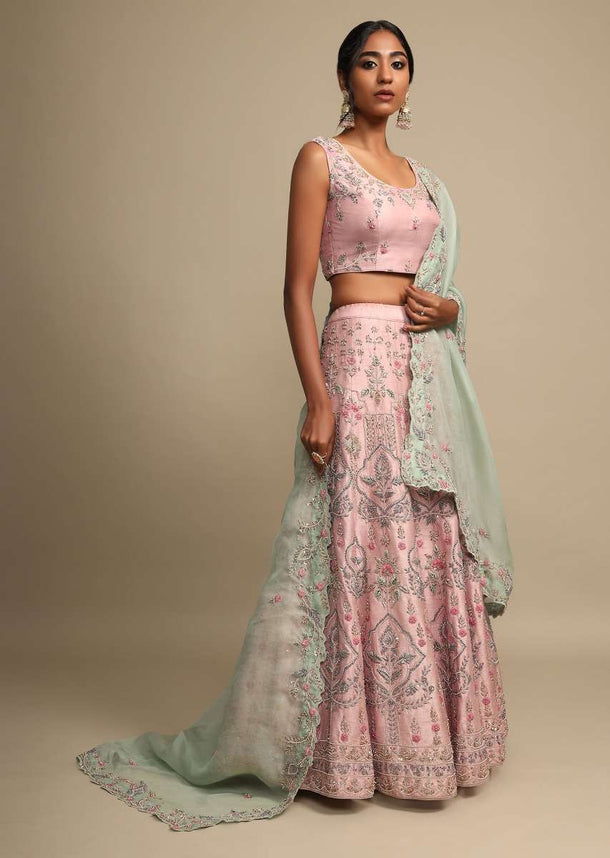 Veiled Rose Pink Lehenga Choli In Raw Silk With Zardozi Embroidered Ethnic Floral Kalis