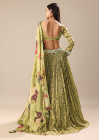 Warm Green Embroidered Skirt And Blouse