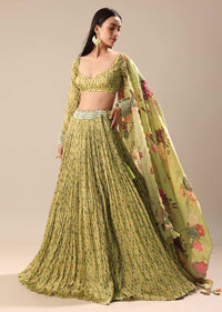 Warm Green Embroidered Skirt And Blouse
