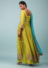 Warm Olive Green Embroidered Palazzo Suit In Chinon