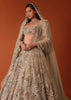 Wheat Gold 16 Kali Bridal Lehenga In Net With 3D Embroidery