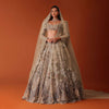 Wheat Gold 16 Kali Bridal Lehenga In Net With 3D Embroidery