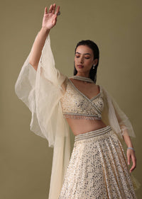 White Embroidered Lehenga And Blouse With Dupatta