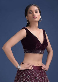 Wine Purple Blouse In Velvet With V Neckline And Waist Accented With Cut Dana And Sequins Work