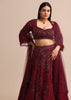 Wine Bridal Lehenga With Dupatta