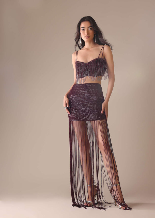 Wine Stone Embroidered Skirt And Blouse Set With Fringes