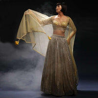 Yellow And Silver Ombre Lehenga Embellished In Sequins With Hand Embroidered Cholid Adorned In Cut Dana And Sequins Work