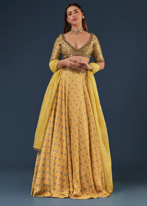 Yellow Organza Lehenga Set With V Neck Half Sleeve Blouse And Back Dori