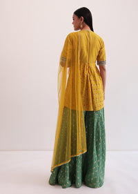 Yellow And Green Embroidered Palazzo Set