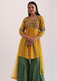 Yellow And Green Embroidered Palazzo Set