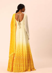 Yellow Lucknowi Hand Worked Anarkali With Dupatta