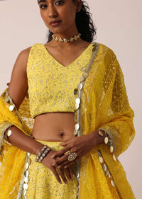 Yellow Net Lehenga Set With Lucknowi Work