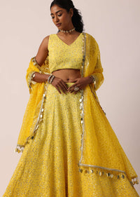 Yellow Net Lehenga Set With Lucknowi Work